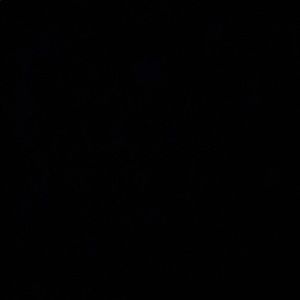 Meet your Posher, Savannah